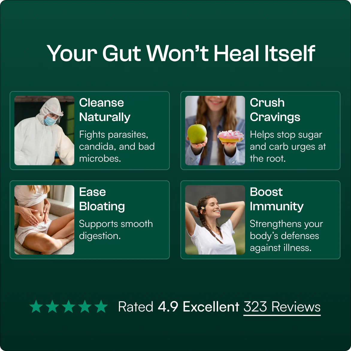 Resilia® | Oil Of Oregano Softgels - Image 4